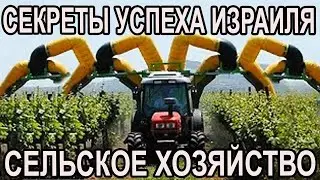 Секреты успеха сельского хозяйства в Израиле. Телесериал "Шабат шалом"