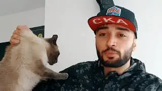 Павер вызвал Афоню на Бой.