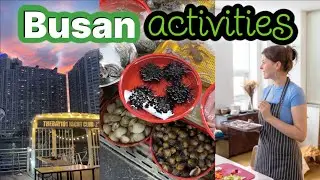 Recommendations of things to do in Busan!