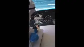 Фитопланктон в воде аквариума. Phytoplankton in aquarium water.