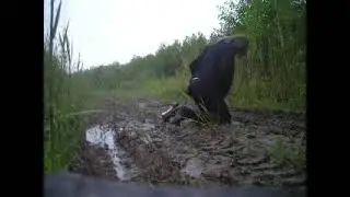 Туфли на высоких каблуках в грязи