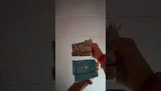 новые дракончики