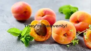 Why You Should Grow Prunus Armeniaca The Benefits of Apricot Trees