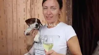крамбл малиновый, чудо-пирог