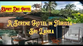 🌞 🏖️  Esprit Dici Hotel, Mirissa, Sri Lanka |  Spend Your Vacation with all inclusive holidays.