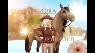 МИНИ-НАРЕЗКА ПОКУПКИ ЛОШАДЕЙ|SSO|Lavender