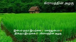 இன்பம் தரும் இயற்கை🌿 மனத்துன்பம்🌾 தீர்க்கும் இயற்கை☘️ | கிராமத்தின் அழகு #villagelife #villagevlogs