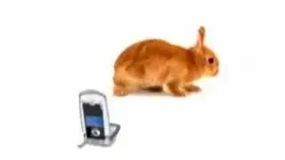 Telus Rabbit Commericial - Carrot Accident