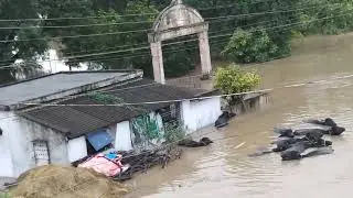 Nellore Jilla indukurpet mandalam mudivarthi palem వరద కారణంగా నీటమునిగిన హై స్కూల్
