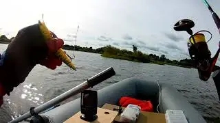 Рыбалка, спиннинг. А/г  Вязынь, река Илия, Вилейское водохранилище. (Беларусь)