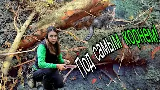 Коп по старине 2022. С трудом достала её из под корней! Девушка в поиске клада.