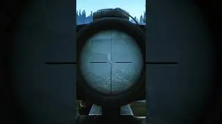 This scav is playing with me 