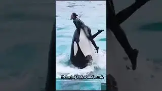 Relaxing video and music