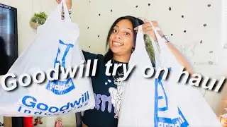 HUGE GOODWILL THRIFT TRY ON HAUL 2022 | DARIA LASHAE