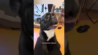 Спа-салон на дому😃
