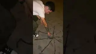 #shorts #viral #spider