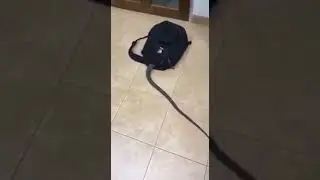 НЕ СМОТРИ ЭТО НЕТ НЕ ТЫКАЙ Я ТЕБЕ ГОВОРЮ