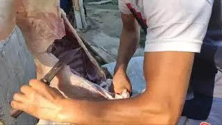 Восток 2 в деле (Продолжение)
