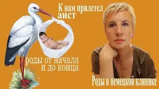 Роды в немецкой клинике от начала до конца || Отношение к украинцам в Германии