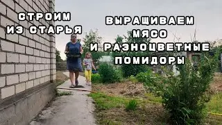 МОЛОДАЯ СЕМЬЯ четвертый год выживает НА ХУТОРЕ | ОБРАТНО в ГОРОД НЕ ХОТИМ