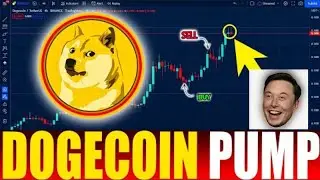 DOGECOIN Price Prediction | $1 soon? Future of DOGE!