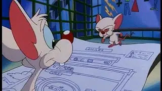 Pinky and The Brain - The Mouse In The Middle