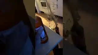 ты бухой после бухича