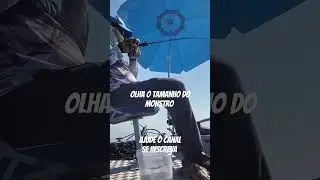 momento exata da fisgada do monstro! #pesca #barco #tralha #bbb24 #viralvideo  #natureza