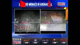Exclusive: Leopards wreaking havoc in Arunachal’s Lohit