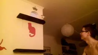Кот, который отбивал мячи