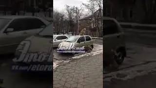 Собаки оккупировали машину ростовчанки   27 01 19   Это Ростов на Дону 1