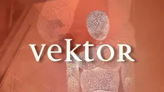 VEKTOR - der größte Dundu aller Zeiten!