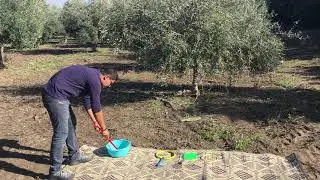 ערכת בועות סבון להשכרה - השכרת ציוד לאירועים | עידנ'ס