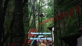 15 июля 2024 г.