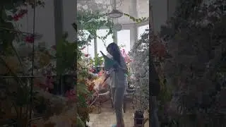 Полив в зимнем саду