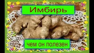 Имбирь польза или вред?