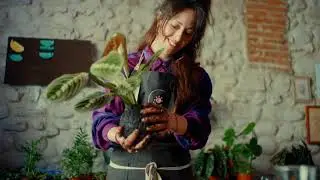 Giardino di Vetro x House of Marley