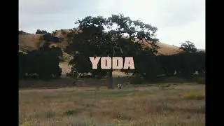 ILLMAC - YODA (Music Video with lyrics)