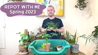 Repot With Me! Spring 2023