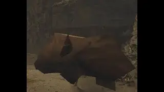 National Geographic or something (MH Wilds)