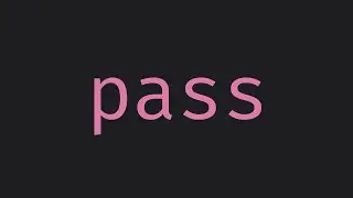 How to pass in python