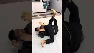 Delariva - Berimbolo - Leg drag