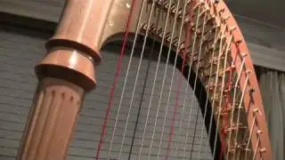 The Pedal Harp - Pedal Buzz