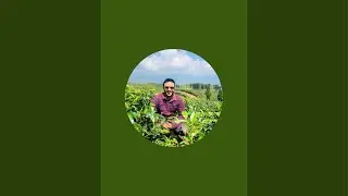 Nabin Ghimire is live!