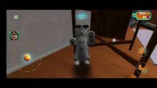Баг в cat simulator 2015