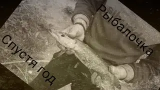 Рыбалка спустя целый год.