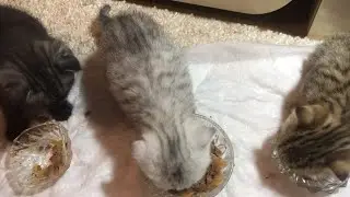 Нас осталось Трое😻😻😻