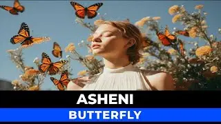 Asheni - Butterfly