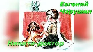 Никита-доктор Е. Чарушин.