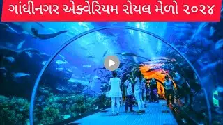 Gandhinagar Aquarium Royal medo 2024 #funfair #aquarium #gandhinagar #enjoy